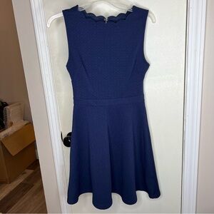 Blue Francesca’s Mini Dress